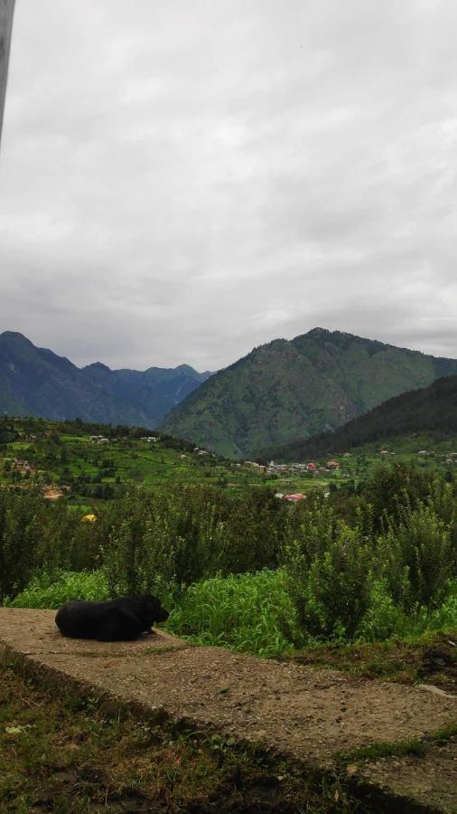 Sukun Hostel Sainj Buitenkant foto