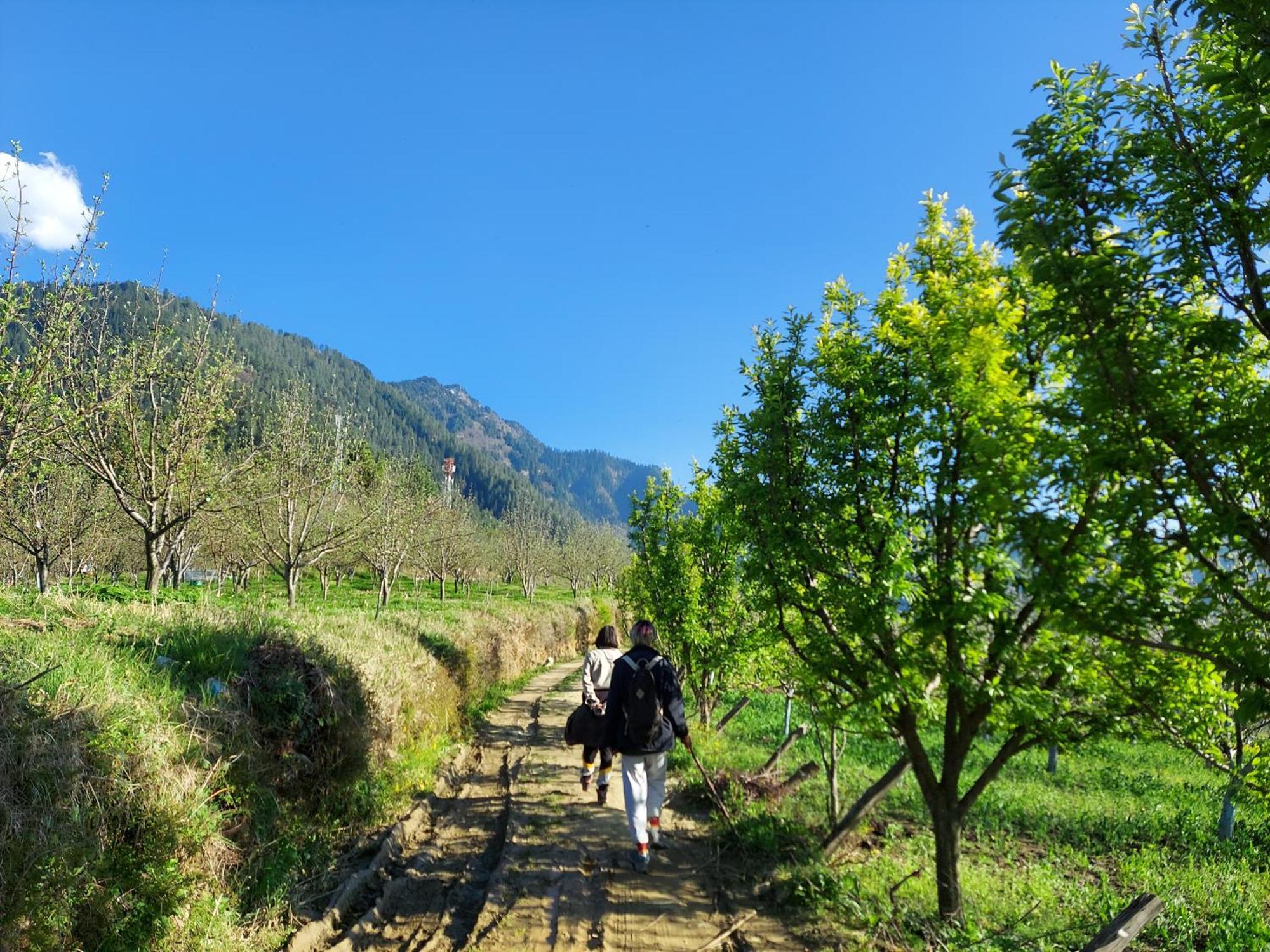 Sukun Hostel Sainj Buitenkant foto